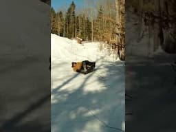 Sledding the dome!