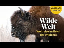 WILDE WELT: Weltreise im Reich der Wildtiere | Live-Reportage Trailer