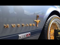 🏆1967 Drop Mustang GT on Gold Zeniths & Vogues in Bay Area, Ca EP497