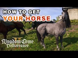 How to get your Horse Back for Free ► Kingdom Come Deliverance 2