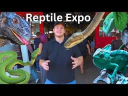 Exploring A Reptile Expo in Africa