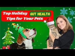 Top 5 Ways to Support Your Pet’s Gut Health Through the Holidays - Holistic Vet Advice