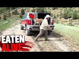 1 Hour of the Most HORRIFYING Fatal Mountain Lion Attacks!