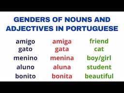 Gender of nouns and adjectives in Portuguese - Free PDF