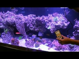 800 Aquarium pt6: PAR Readings using Apogee MQ-500