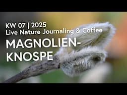 12.Februar 25 | Nature Journaling & Coffee ☕️ | KW 07 | 2025: Magnolien-Knospe