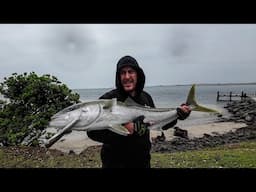 Dinghy Fishing & Fishing My Favourite Wharf In NZ | Walls Of Fish