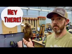 I Sold My Tools And Got A Bear! Shop And Channel Update!