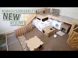 My house rabbits NEW room