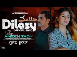 DILASY - Ameen Tady | Official video | 2024 | sad song