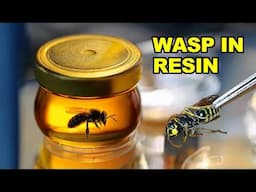 Wasp in Epoxy Resin. Levitating Wasp in a Jar. RESIN ART