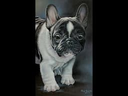 French Bulldog Pastel Demo