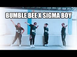 BUMBLE BEE x SIGMA BOYS ( New Tiktok Mashups ) Dance Fitness / BMD CREW