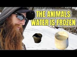 Managing animals and frozen water on the homestead