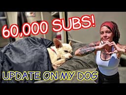 Live Video With Updates | Made It To 60K Subs!