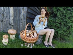 Picking forest mushrooms in the wild mountains. Cooking three mushroom dishes in village oven