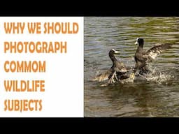 WHY WE SHOULD PHOTOGRAPH COMM0N WILDLIFE SUBJECTS