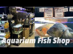 Pet Shop in Japan | Fish Store Saltwater Aquarium Expenses | Life in Japan