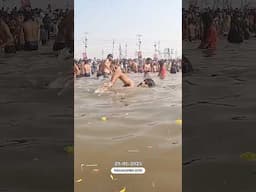 Swimming, Snan at Sangam - Mahakumbh 2025 #swimming #swimmer #river #mahakumbh2025 #trivenisangam