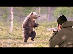 Hunters' confrontations with the fiercest predator bears are breathtaking scenes