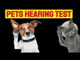 Sounds Only Pets Can Hear - Test Your Pet’s Hearing