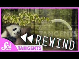 Rewind Ep. 23 - Pregnancy | SciShow Tangents Podcast