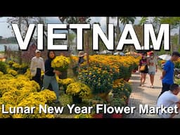 How to lunar new year? 🇻🇳 Hue Vietnam walking tour 2025