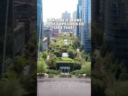 Green Rooftop Park | Salesforce Transit Center, San Francisco