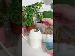 Plantcare ASMR #houseplants #plants #plantcare