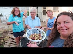 Container Gardening||  She Grows Potatoes in Laundry Baskets|| It's a Potato Harvest Reveal!