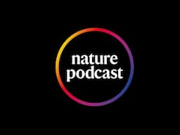 Behind the scenes of Nature News and Views in 2024