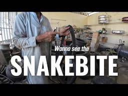 If you wonder what a snakebite puncture is!