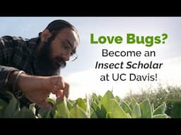 Love Bugs? Become an Insect Scholar at UC Davis