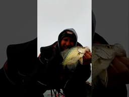 What a save!!!! #icefish #crappie #fishing #shorts