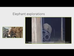 Toys for Elephants - EMF2024