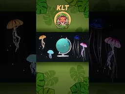 Jellyfish Come In MANY Colors! | KLT WILD #shorts