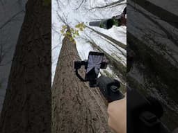 Low angle phone trick 🔄 🍂 with @hohemglobal #MobileGimbal  #HohemM7 #AITracking