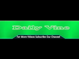 Daily Vine Live Stream