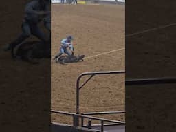 Calf Roping Cowtown Coliseum Texas