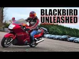 One Of The ULTIMATE Riding Experiences | Honda Blackbird