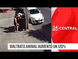 24 Horas Reportajes | Maltrato animal aumentó un 120%: Piden cárcel efectiva