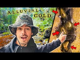 Finding Gold Nuggets in the River (Gold Prospecting)