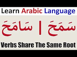 Arabic Verbs Share The Same Root With Different Meanings سَمَحَ وَسَامَحَ | Learn Arabic Language