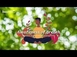 Guided Mindfulness Meditation Awareness of Breath