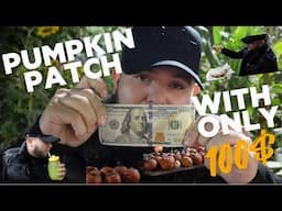 What can $100 USD get you at the pumpkin  patch?