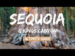 Sequoia & Kings Canyon National Parks: World's Largest Trees 4K