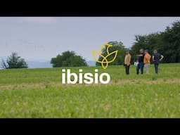 Ibisio biological bird-repellent seed treatment: What farmers think