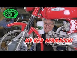 My Red Aermacchi - part 7 // paul brodie's shop