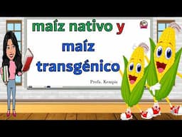 Maíz nativo y maíz transgénico