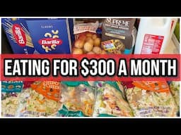 $300 MONTHLY GROCERY HAUL FOR FAMILY OF 4 | Monthly Grocery Haul